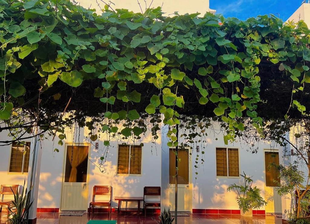 Mai Anh Homestay Long Hải